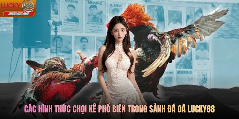 Các hình thức chọi kê phổ biến trong sảnh đá gà Lucky88